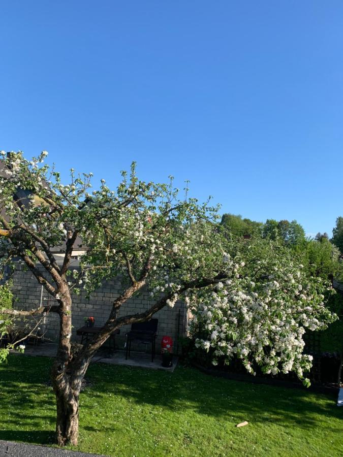 Mooni Cottage Пярну Экстерьер фото